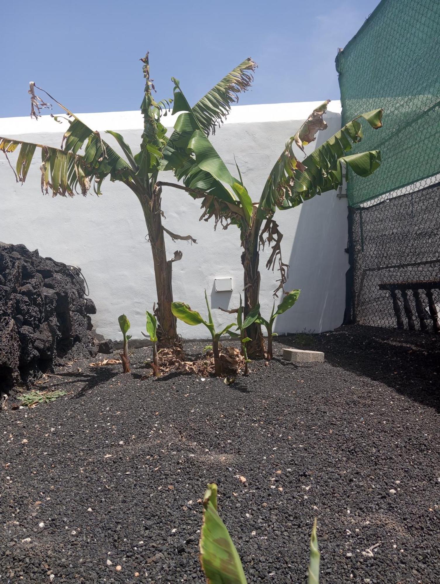 Casa Siempreviva Villa Teguise  Exterior photo